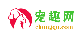 寵趣網