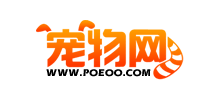 中國寵物網