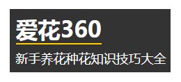 愛花360