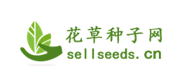 花草種子網