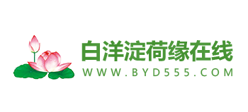 白洋澱荷緣線上