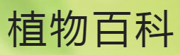植物百科