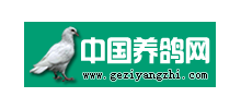 中國養鴿網