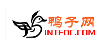 鴨子網