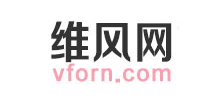 維風網