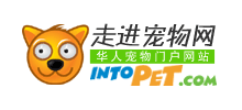 走進寵物網