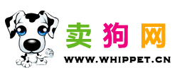 賣狗網