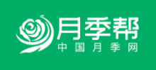 月季網（月季幫）
