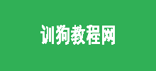 訓狗教程網