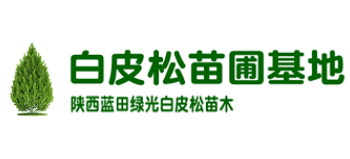 白皮鬆苗圃基地