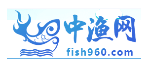 中漁網