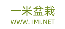 一米盆栽