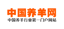 中國養羊網