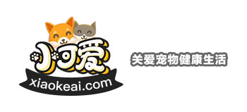 ​小可愛寵物網