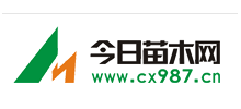 今日苗木網