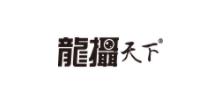 龍攝天下