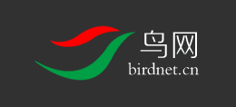 鳥網