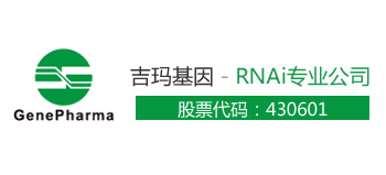 上海吉瑪製藥技術有限公司