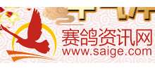 賽鴿資訊網