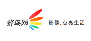 蜂鳥網