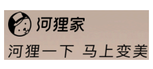 河狸家