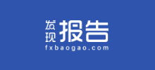 發現報告